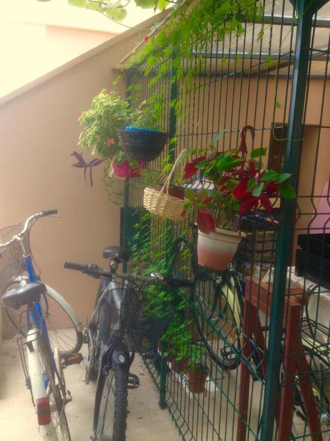 Apartment Dunja Djenovici Херцег Нови Екстериор снимка